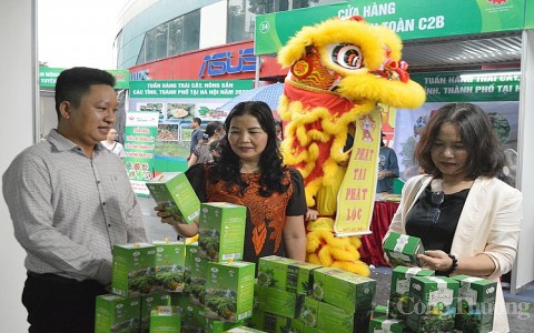 Hà Nội: Mang trái cây, nông sản các tỉnh, thành phố đến với người tiêu dùng Thủ đô